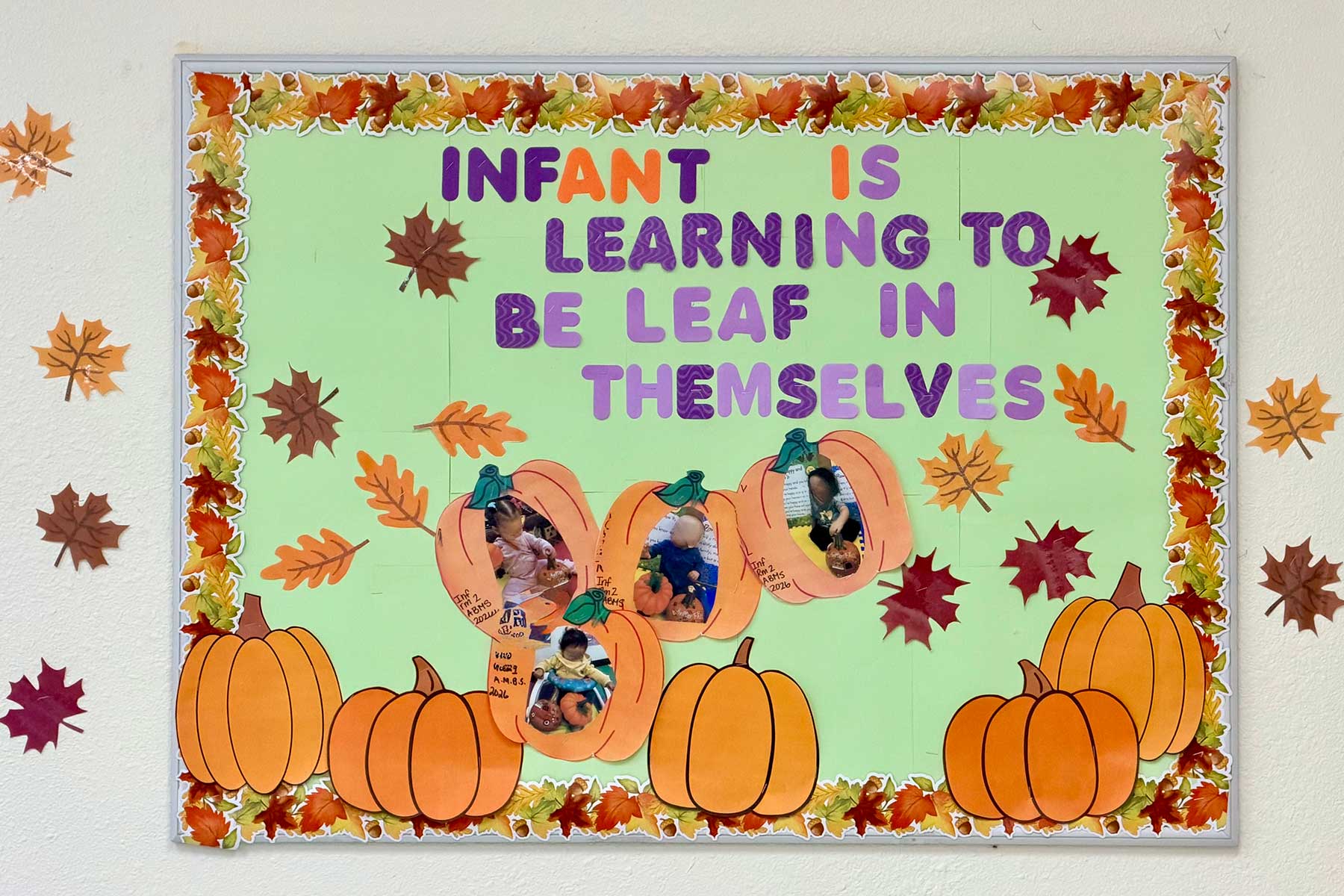 Amazing Beginnings Harvest Curriculum Be Leaf